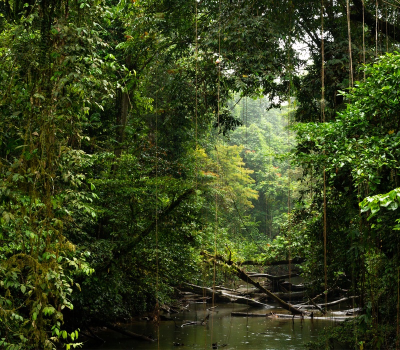 Recognition for sustainability
